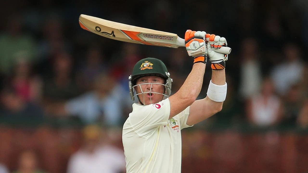 Brad Haddin