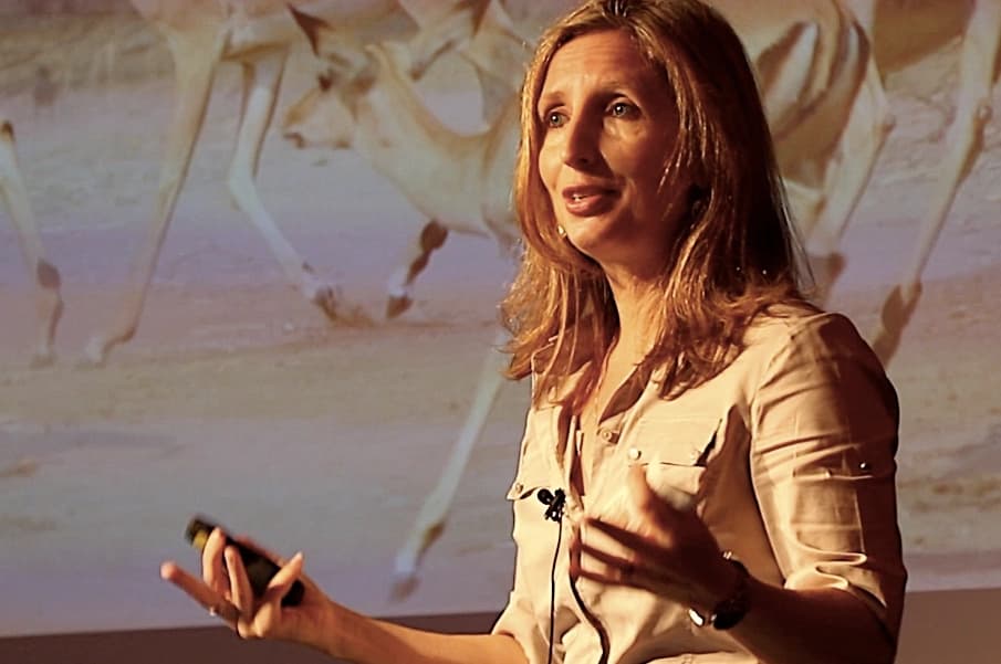 Dr Tammie Matson