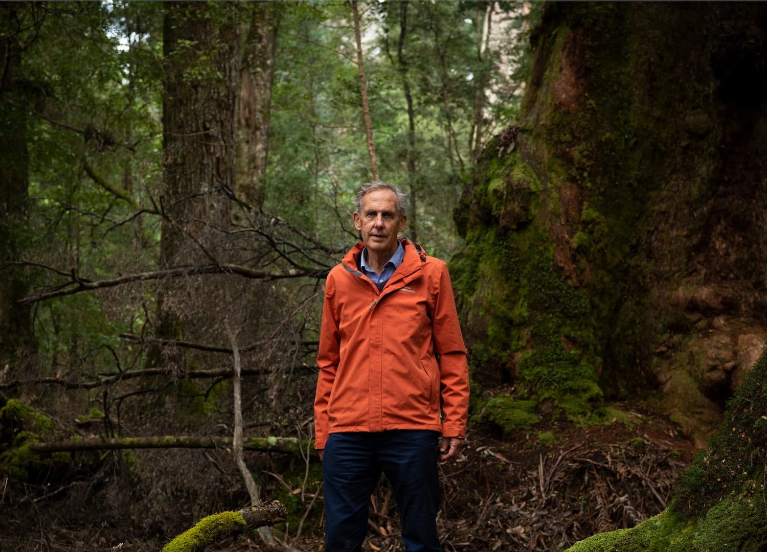 Bob Browne