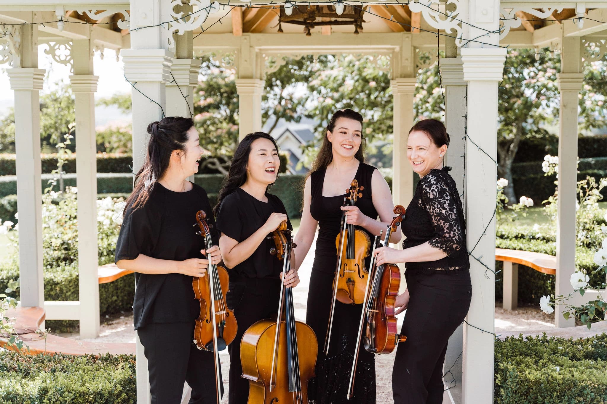 Zest String Quartet